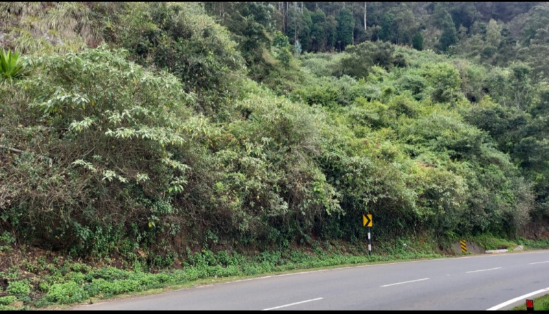  20 Cent Commercial Land for Sale in Kotagiri, Nilgiris