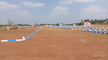  Residential Plot for Sale in Chinthalkkundu, dindigul