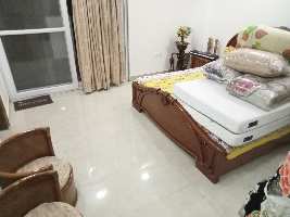 4 BHK Builder Floor for Rent in Ansal Palam Vihar, Gurgaon