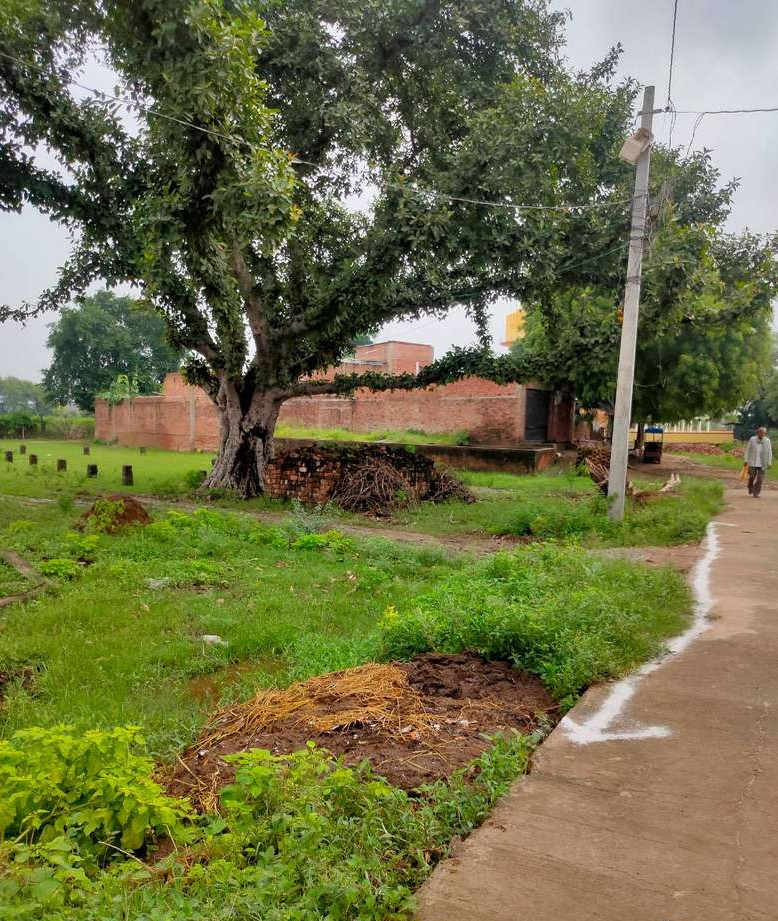  Commercial Land 1569 Sq.ft. for Sale in Baberu, Banda