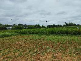  Agricultural Land for Sale in Subhan Colony, Chandrayangutta, Hyderabad