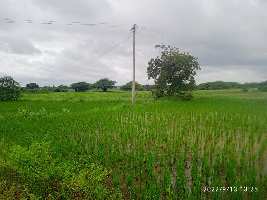  Agricultural Land for Sale in Maheshwaram, Rangareddy