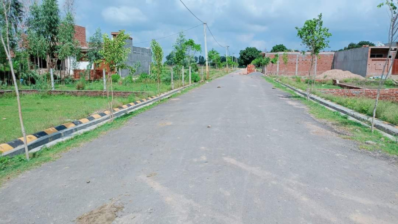  Residential Plot 2000 Sq.ft. for Sale in Gosaiganj, Lucknow