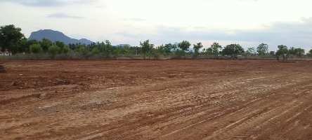  Residential Plot for Sale in Masinaickenpatti, Salem