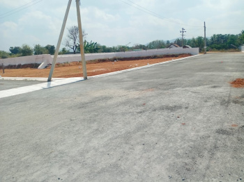  Residential Plot for Sale in Ayothiyapattinam, Salem