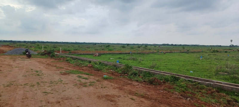  Residential Plot 180 Sq. Yards for Sale in Gannavaram, Vijayawada