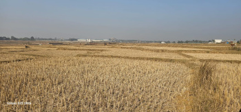  Residential Plot for Sale in Pithoria, Ranchi