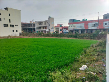 Commercial Land for Sale in Niliam Colony, Haldwani