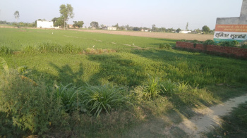  Agricultural Land for Sale in Ramnagar Road, Kashipur