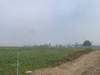  Industrial Land for Sale in Kichha, Udham Singh Nagar