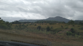 Agricultural Land for Sale in Pen, Raigad