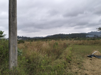  Agricultural Land for Sale in Pen, Raigad