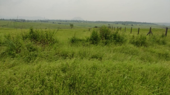  Industrial Land for Sale in Takwe, Pune