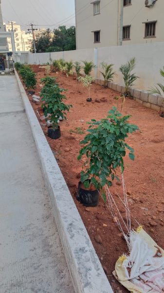 2 BHK 1200 Sq.ft. Apartment for Sale in Miyapur, Hyderabad