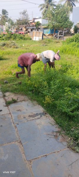 Residential Plot 21 Cent for Sale in Agiripalli, Vijayawada