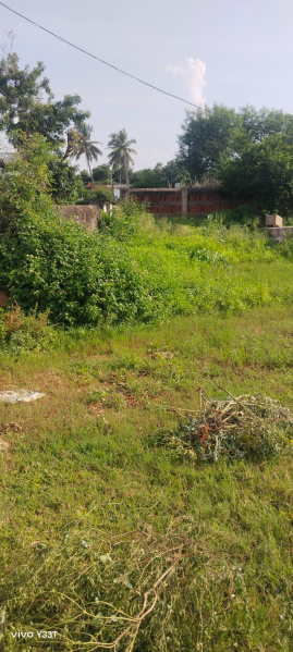  Residential Plot 21 Cent for Sale in Agiripalli, Vijayawada