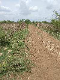  Agricultural Land for Sale in Warora, Chandrapur