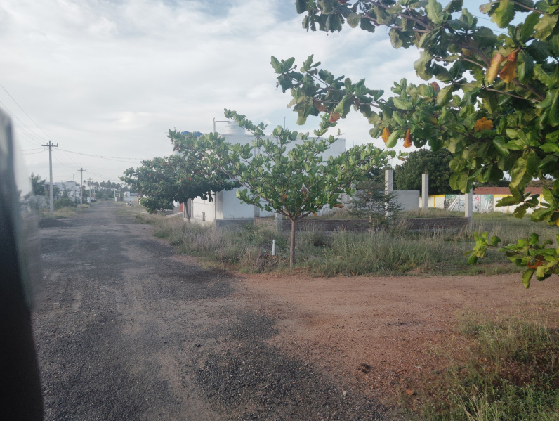  Residential Plot 3 Cent for Sale in Palladam, Tirupur