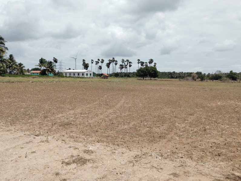  Agricultural Land 2 Acre for Sale in Semmipalayam, Tirupur