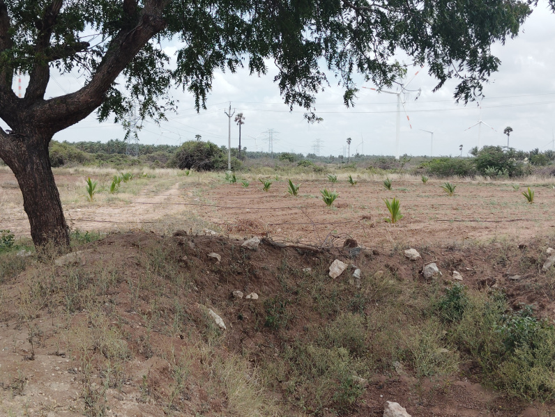  Agricultural Land 5 Acre for Sale in Sankaramanallur, Tirupur