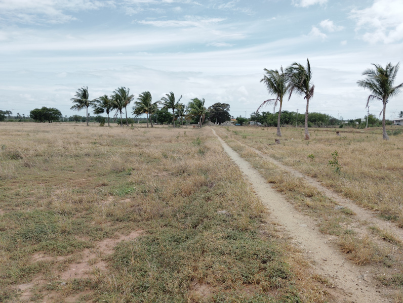  Agricultural Land 13 Acre for Sale in Dharapuram, Tirupur