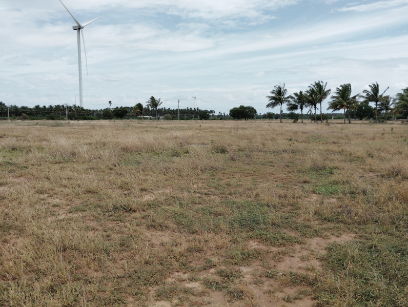  Agricultural Land 13 Acre for Sale in Dharapuram, Tirupur