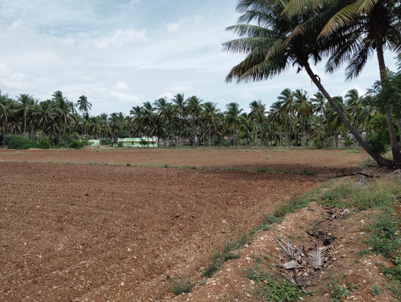  Agricultural Land 5 Ares for Sale in Kangeyam, Tirupur