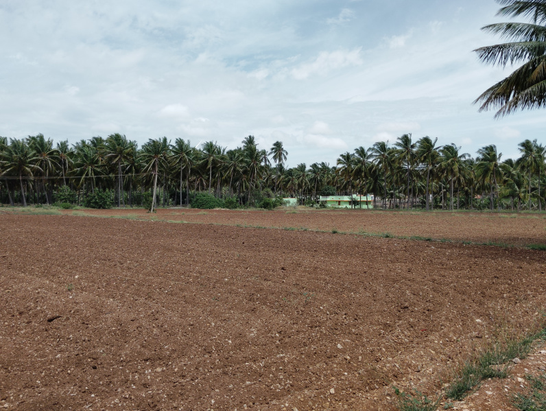  Agricultural Land 5 Ares for Sale in Kangeyam, Tirupur