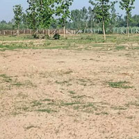  Residential Plot for Sale in Sohna Road, Gurgaon