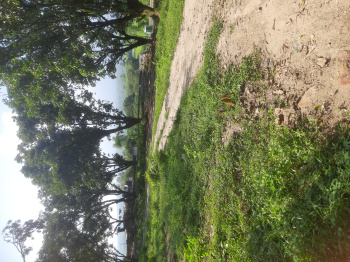  Residential Plot for Sale in Dakpathar, Dehradun