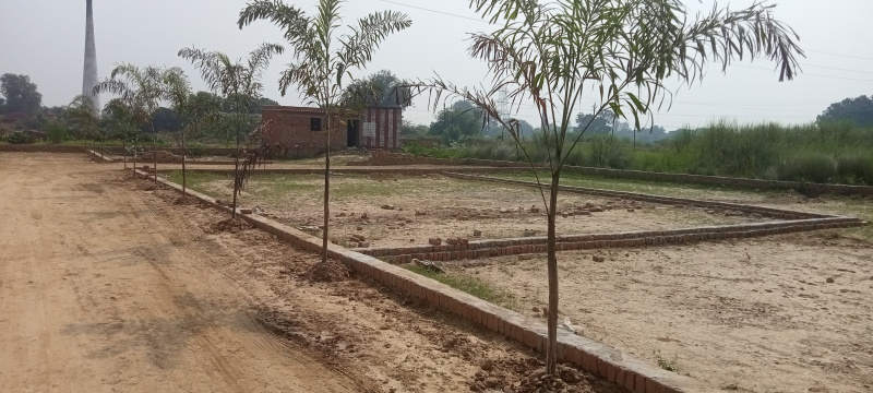  Residential Plot 1000 Sq.ft. for Sale in Harhua, Varanasi