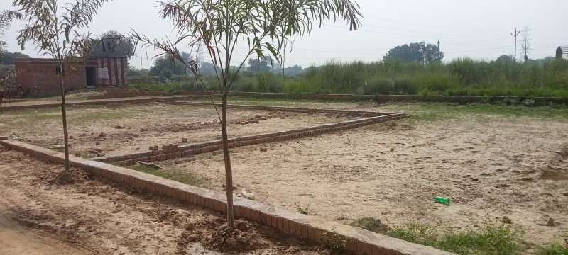  Residential Plot 1000 Sq.ft. for Sale in Harhua, Varanasi