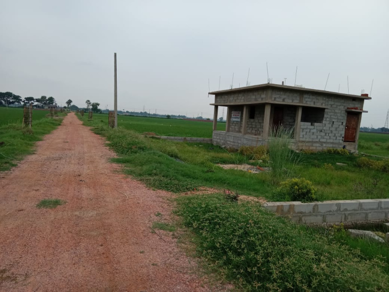  Residential Plot 1000 Sq.ft. for Sale in Naubatpur, Patna