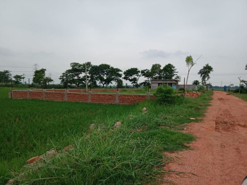  Residential Plot 1000 Sq.ft. for Sale in Naubatpur, Patna