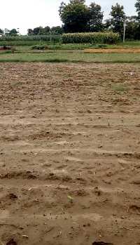  Agricultural Land for Sale in Mihinpurwa, Bahraich