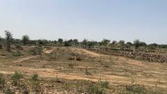 Residential Plot 180 Sq. Yards for Sale in Rudraram, Hyderabad