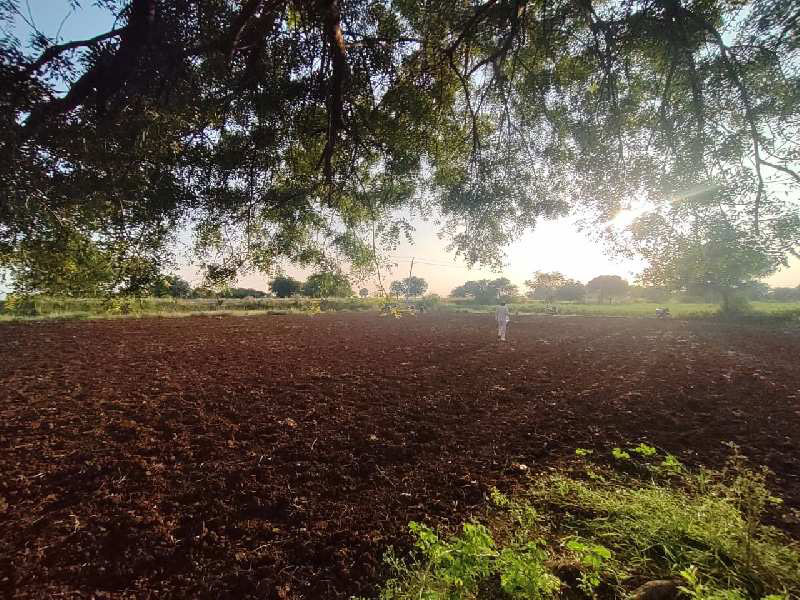  Agricultural Land 1 Acre for Sale in Hagarga Road Gulbarga