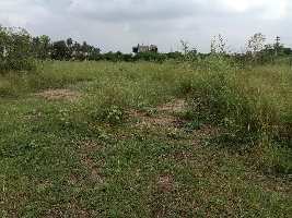  Residential Plot for Sale in Nggo Colony, Coimbatore