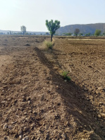  Agricultural Land for Sale in Khairthal, Alwar