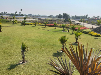  Residential Plot for Sale in Airport Road, Indore