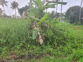  Residential Plot for Sale in Venginissery, Thrissur