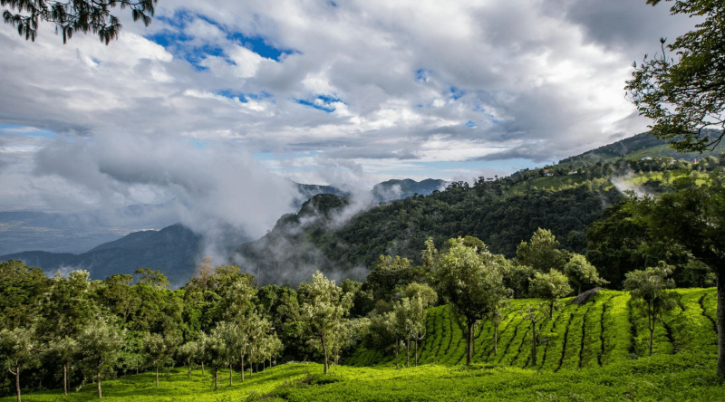 Coonoor, Ooty photo 2