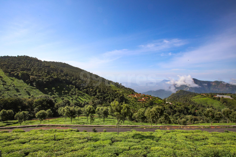 Coonoor, Ooty photo 4