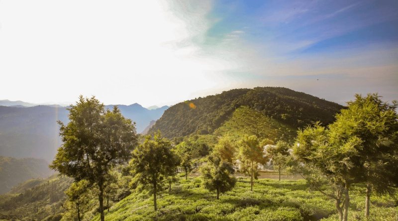 Coonoor, Ooty photo 5