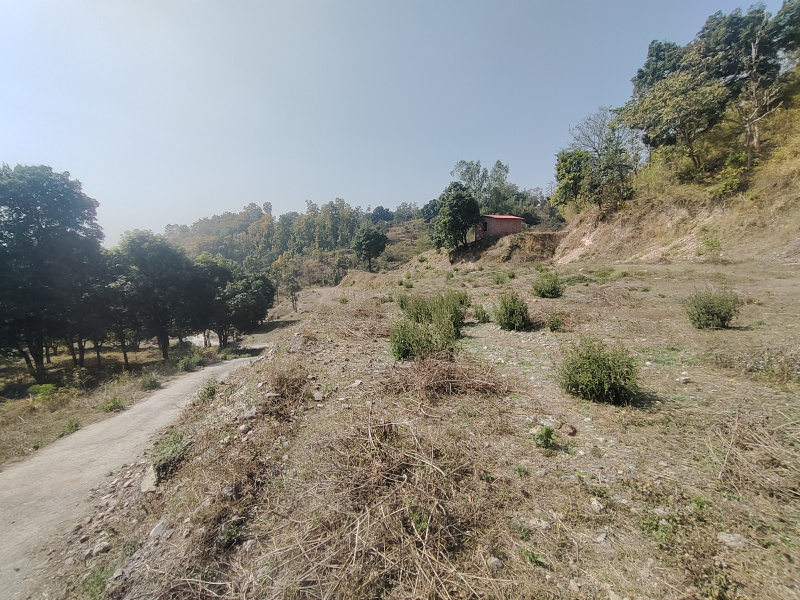  40 Bigha Residential Plot for Sale in Ranipokhari, Dehradun