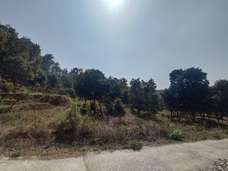  40 Bigha Residential Plot for Sale in Ranipokhari, Dehradun