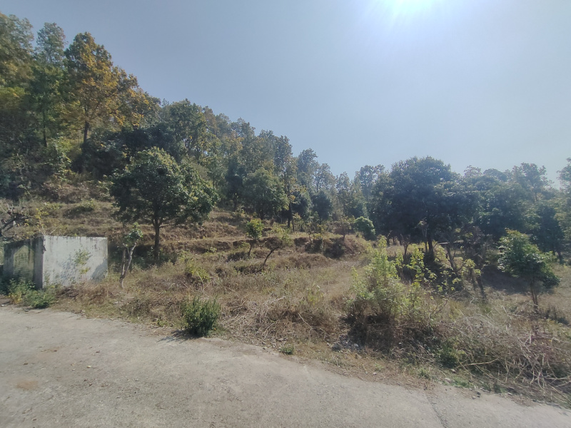  40 Bigha Residential Plot for Sale in Ranipokhari, Dehradun