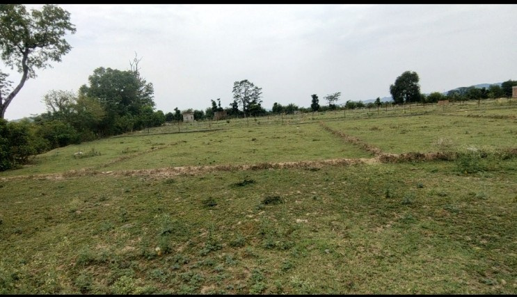 Shyampur, Rishikesh photo 2