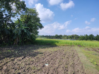  Residential Plot for Sale in Khalpara, Siliguri
