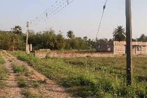  Agricultural Land for Sale in Action Area IIB, New Town, Kolkata